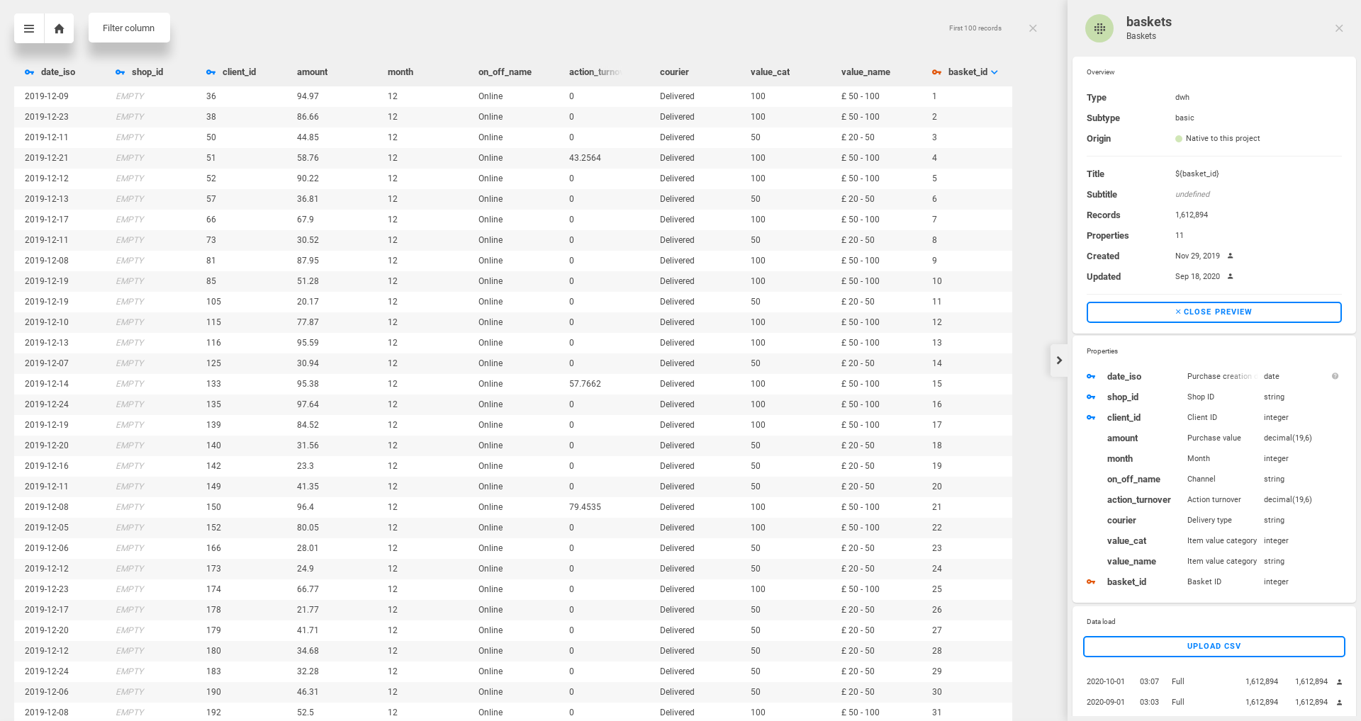 datasets-data-model-data-preview.png